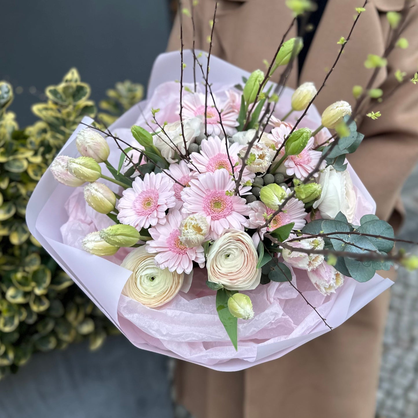 SOFT GERBERA