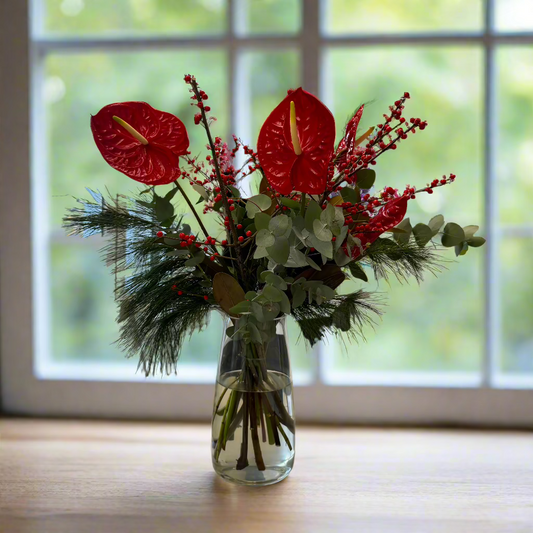 FESTIVE ANTHURIUMS